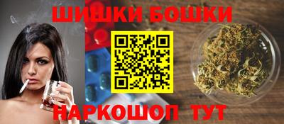 индика Железноводск