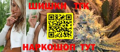 индика Железноводск