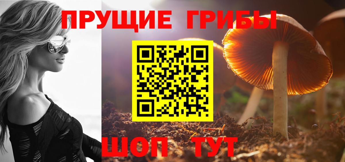 Галлюциногенные грибы Psilocybine cubensis  купить  цена  Осинники  Вход с VPN 